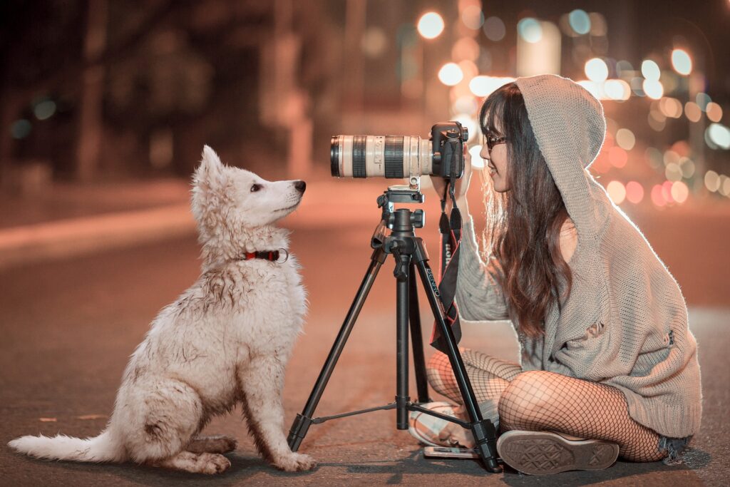 カメラのレンズ越しに見つめ合う白い犬と女性