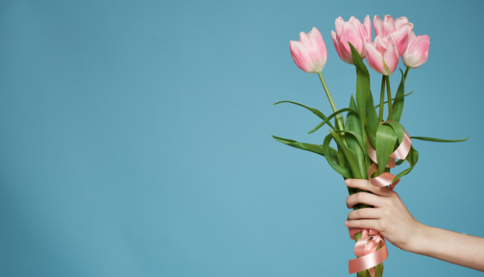 水色の背景の右側からピンクのサテンリボンで巻かれたピンクのチューリップの花束を出す女性の片手